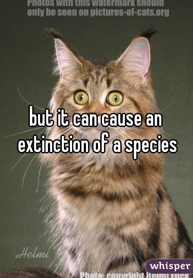 but it can cause an extinction of a species