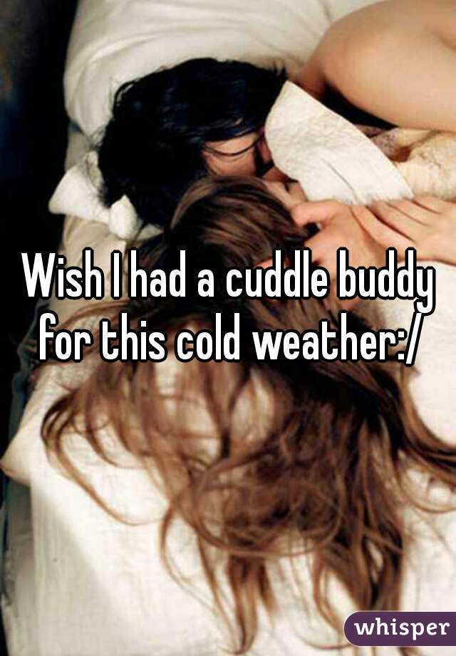 Wish I had a cuddle buddy for this cold weather:/