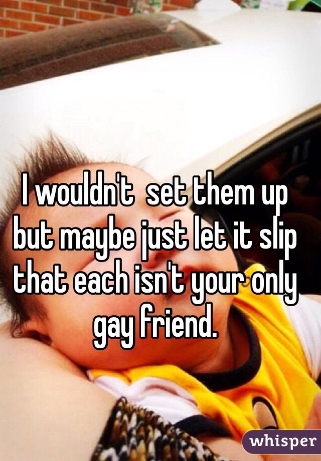 I wouldn't  set them up but maybe just let it slip that each isn't your only gay friend.