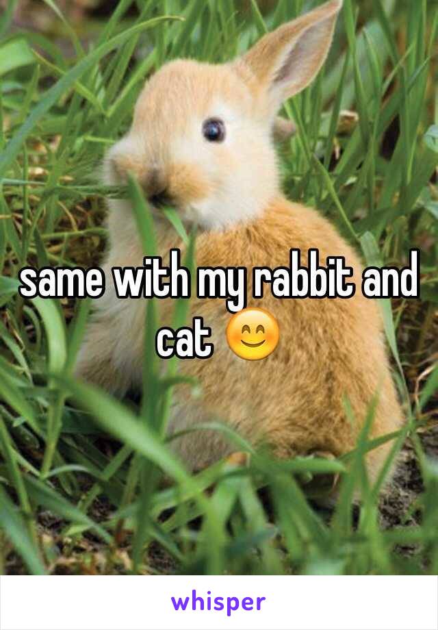 same with my rabbit and cat 😊