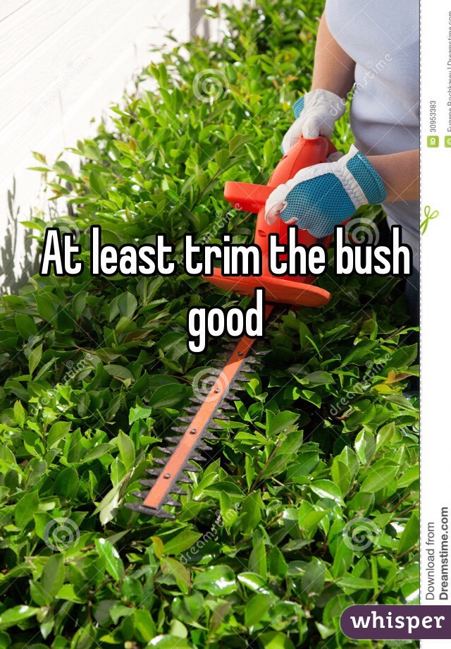 At least trim the bush good

