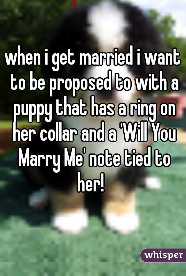 when i get married i want to be proposed to with a puppy that has a ring on her collar and a 'Will You Marry Me' note tied to her!  