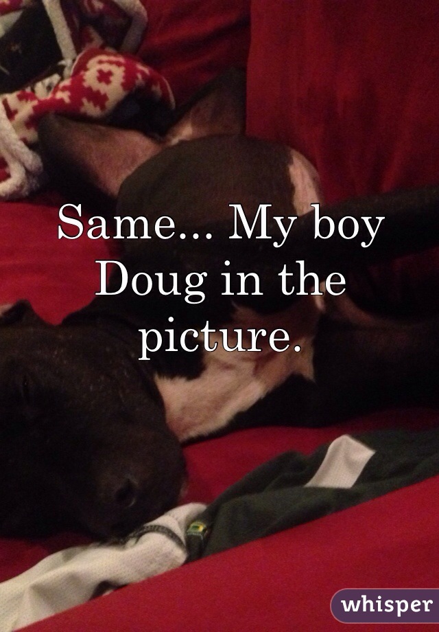 Same... My boy Doug in the picture. 