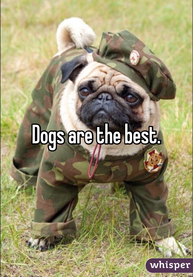 Dogs are the best. 