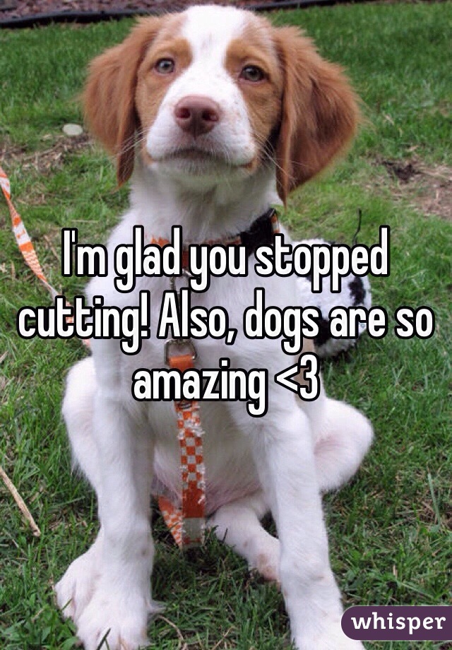 I'm glad you stopped cutting! Also, dogs are so amazing <3