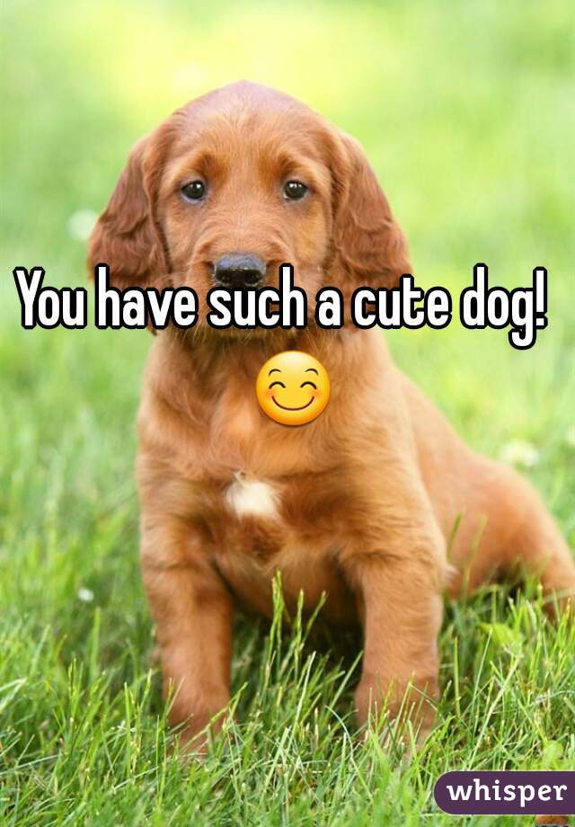 You have such a cute dog!  😊 