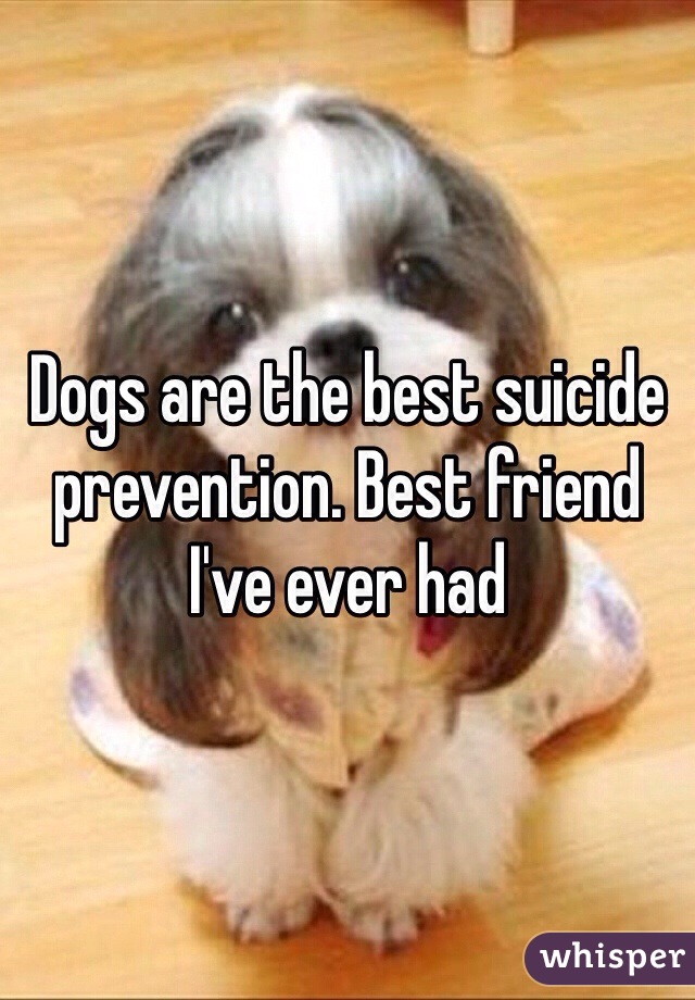 Dogs are the best suicide prevention. Best friend I've ever had