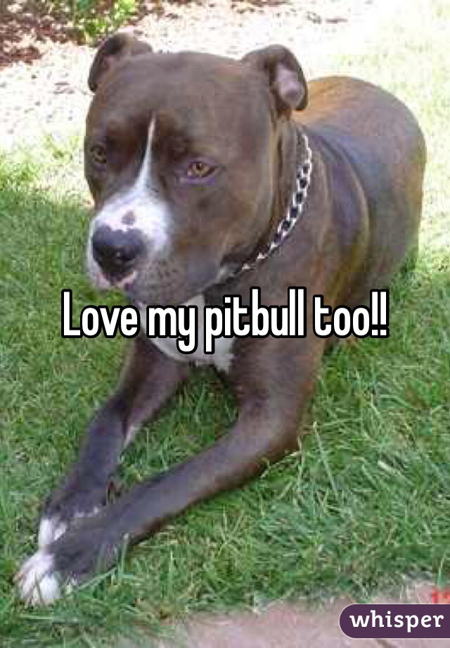 Love my pitbull too!!