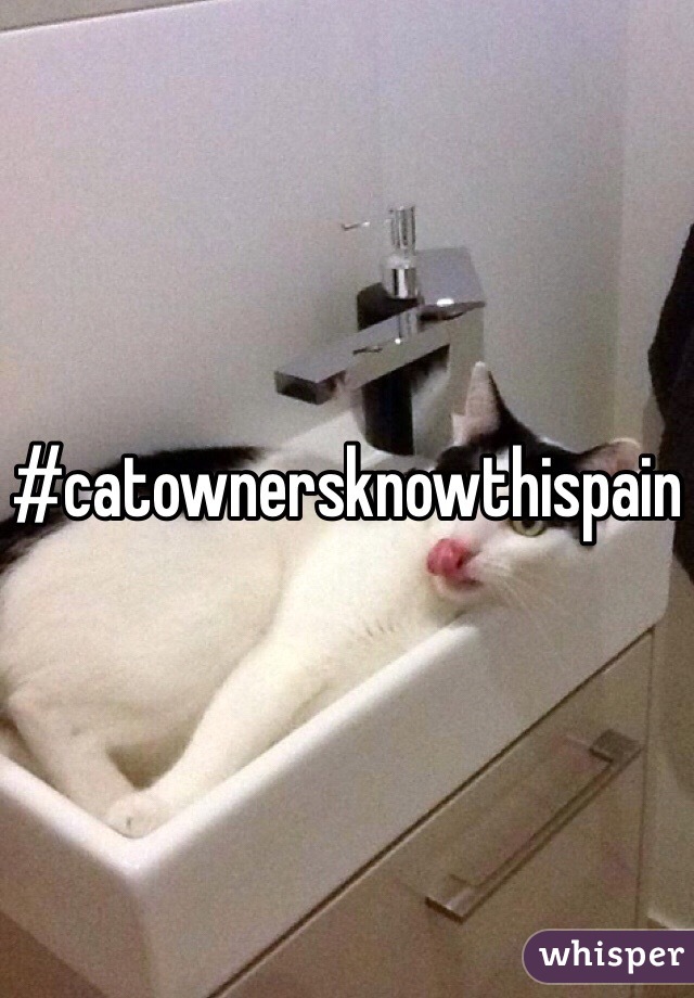 #catownersknowthispain