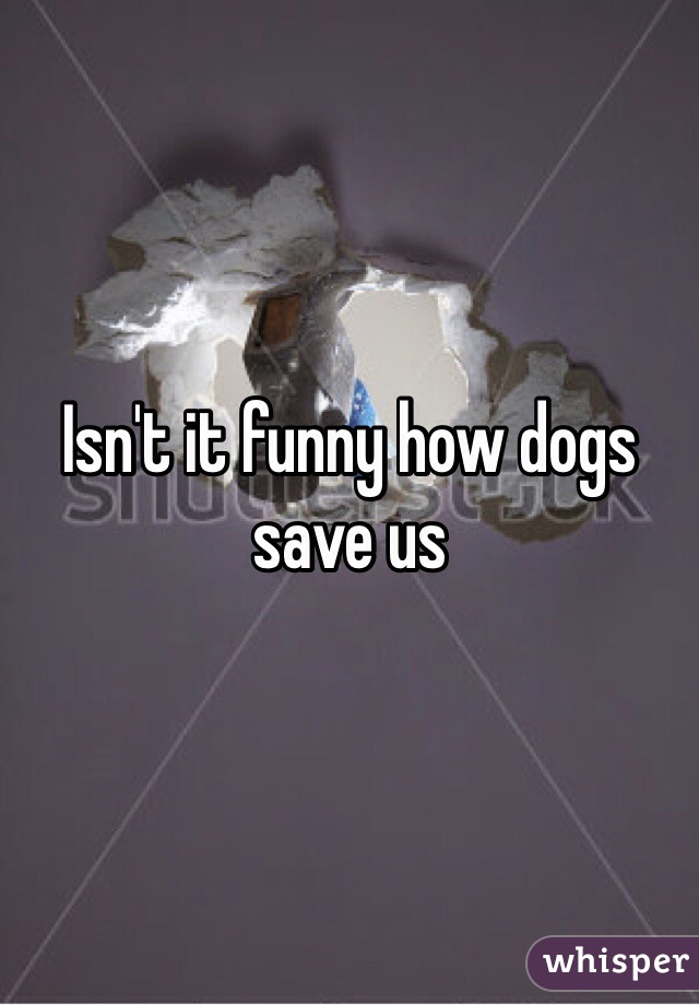 Isn't it funny how dogs save us