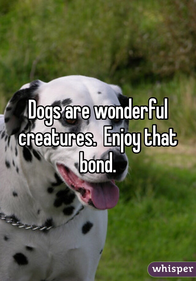 Dogs are wonderful creatures.  Enjoy that bond.