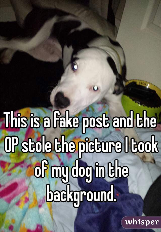This is a fake post and the OP stole the picture I took of my dog in the background.