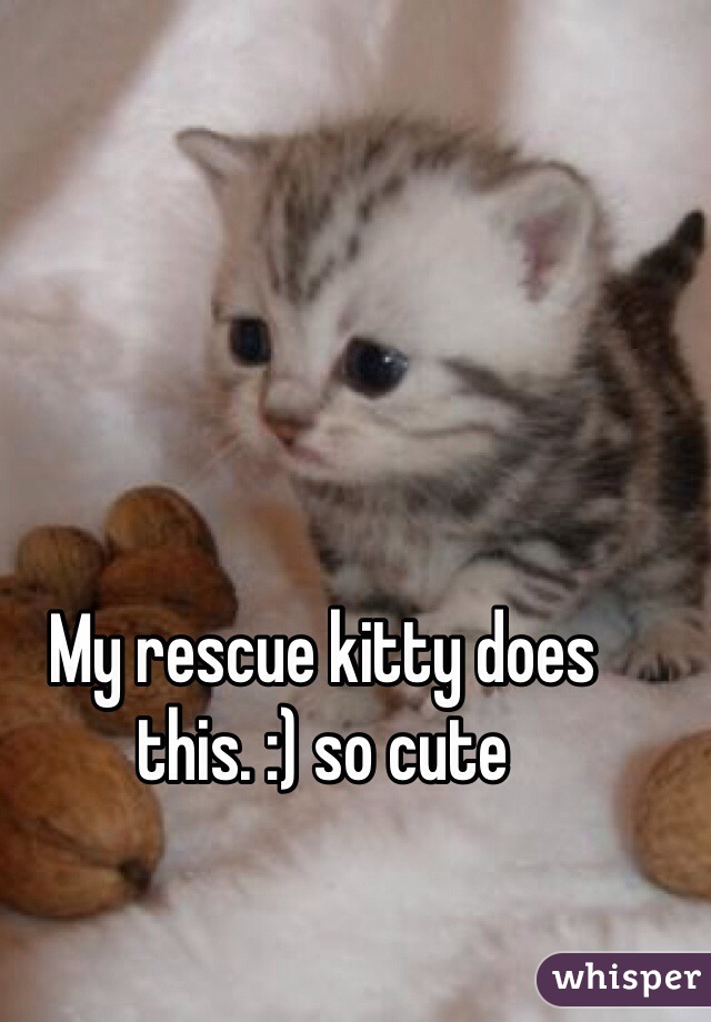 My rescue kitty does this. :) so cute
