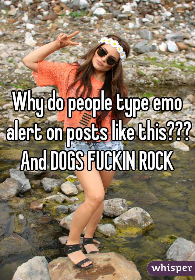 Why do people type emo alert on posts like this??? And DOGS FUCKIN ROCK 