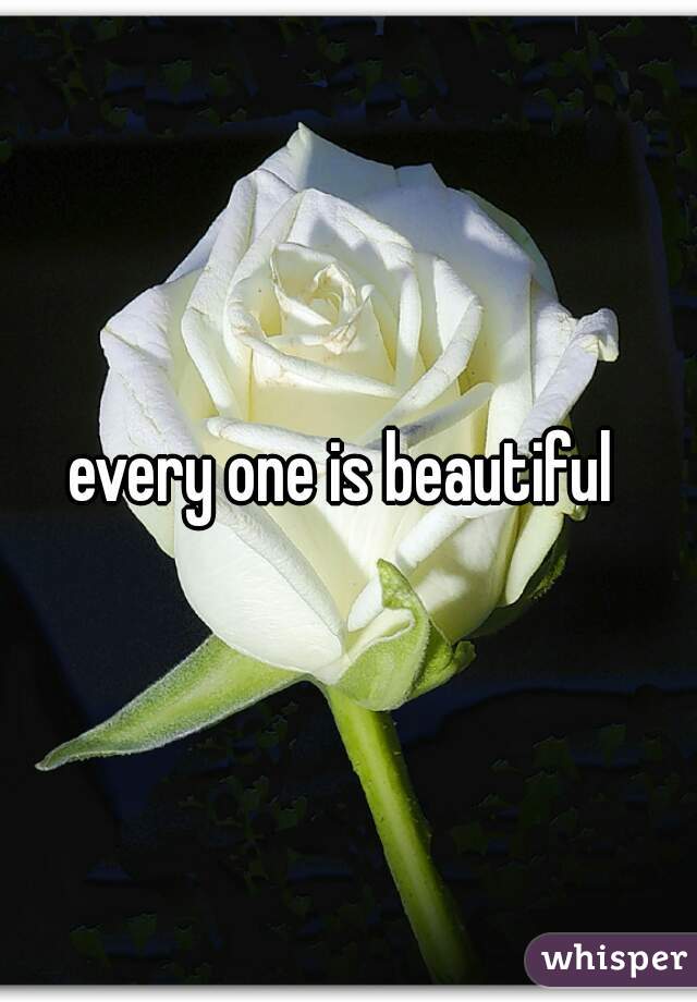 every one is beautiful 