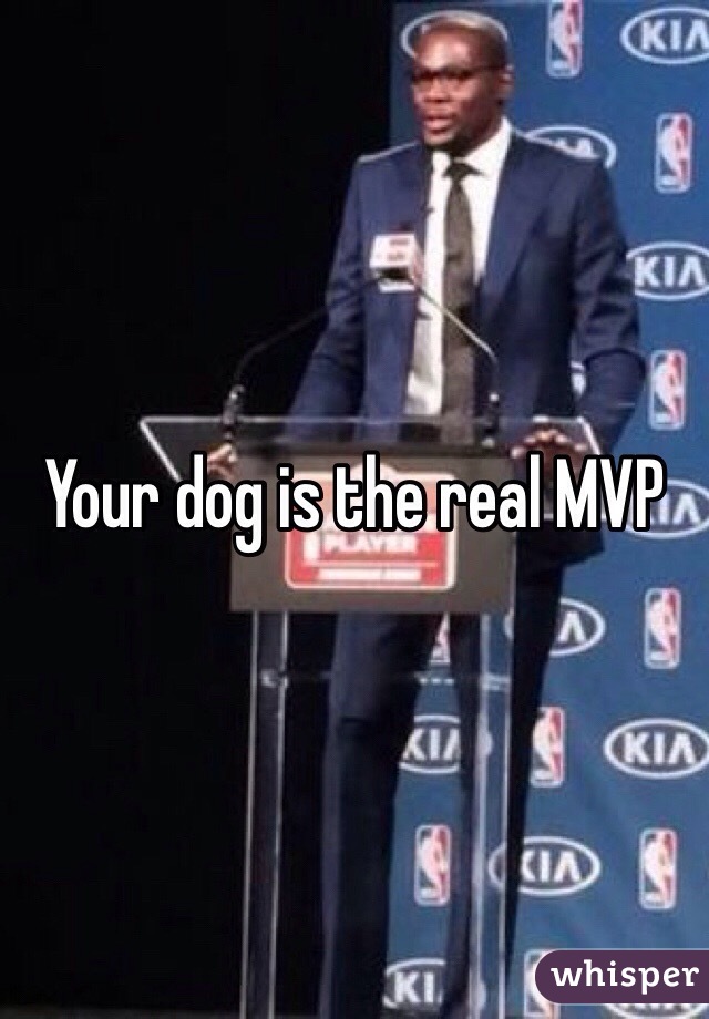 Your dog is the real MVP