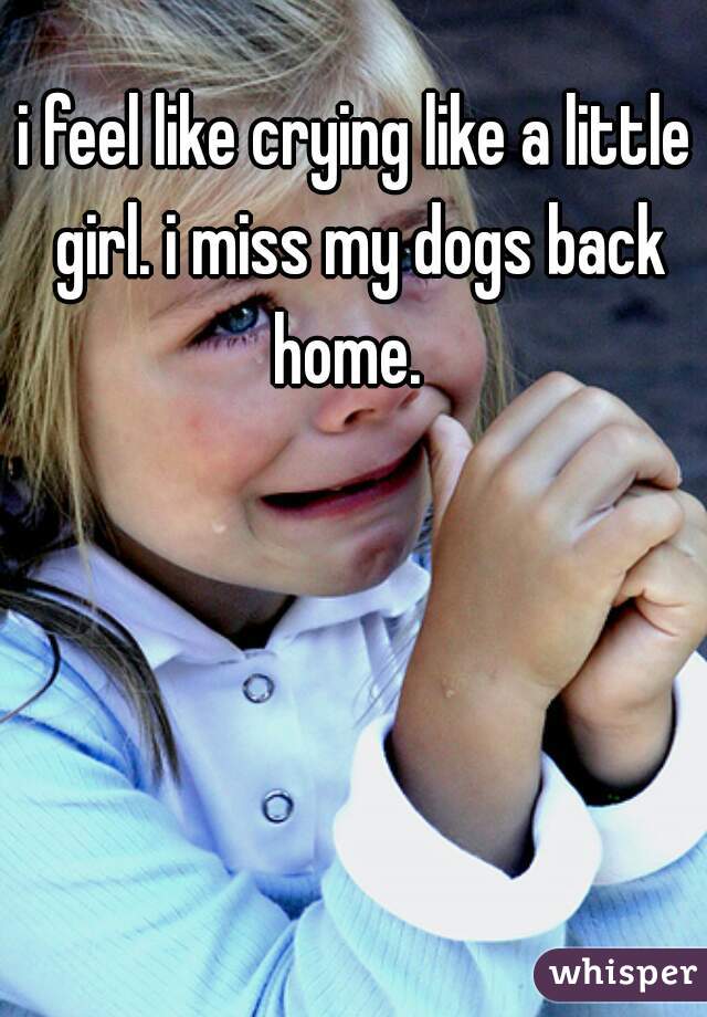 i feel like crying like a little girl. i miss my dogs back home.  