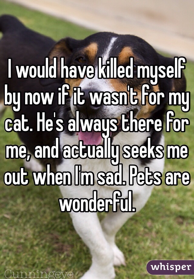I would have killed myself by now if it wasn't for my cat. He's always there for me, and actually seeks me out when I'm sad. Pets are wonderful.