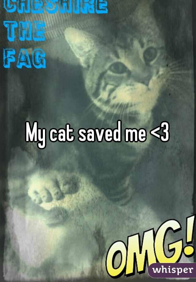 My cat saved me <3