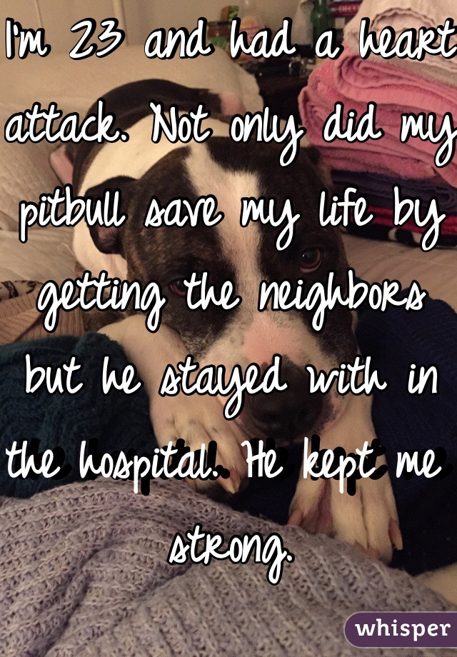 I'm 23 and had a heart attack. Not only did my pitbull save my life by getting the neighbors but he stayed with in the hospital. He kept me strong. 