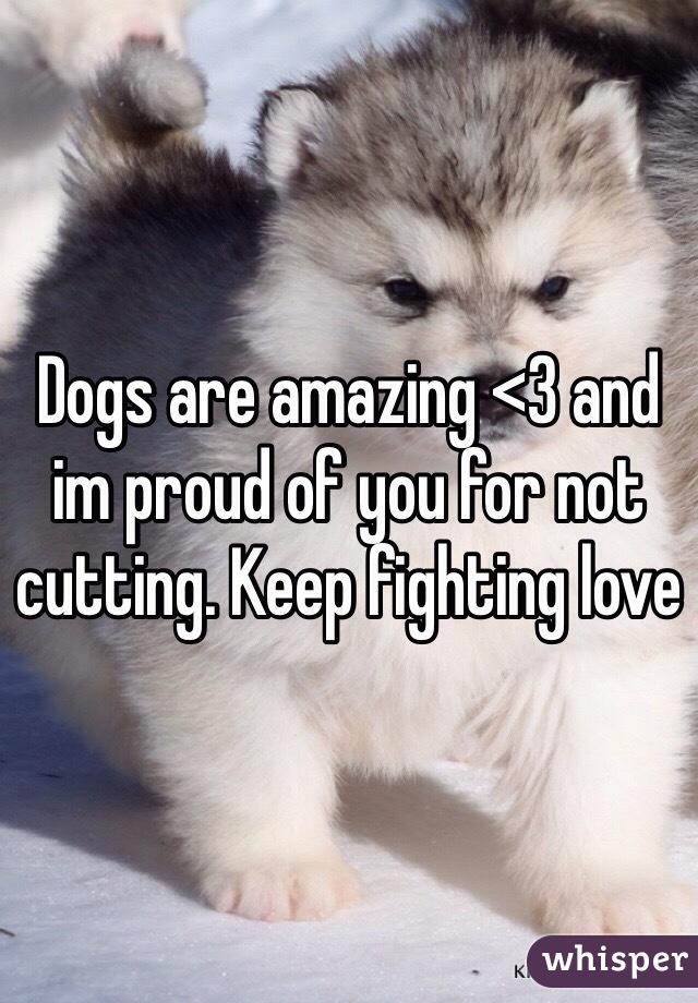 Dogs are amazing <3 and im proud of you for not cutting. Keep fighting love 