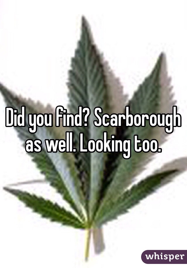 Did you find? Scarborough as well. Looking too. 