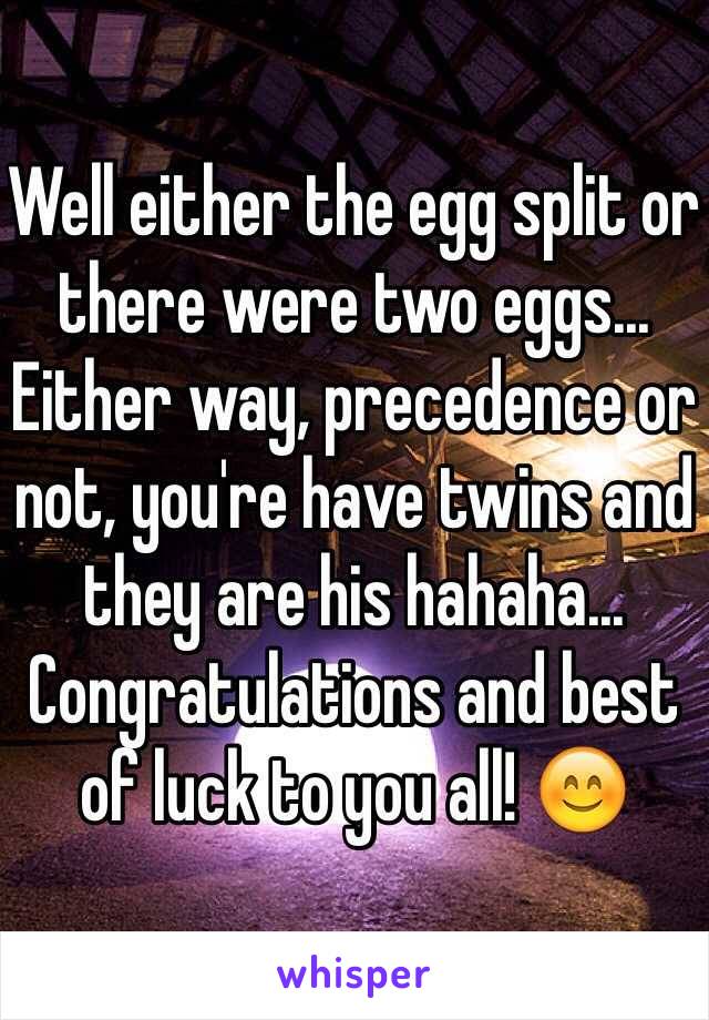 Well either the egg split or there were two eggs... Either way, precedence or not, you're have twins and they are his hahaha... Congratulations and best of luck to you all! 😊