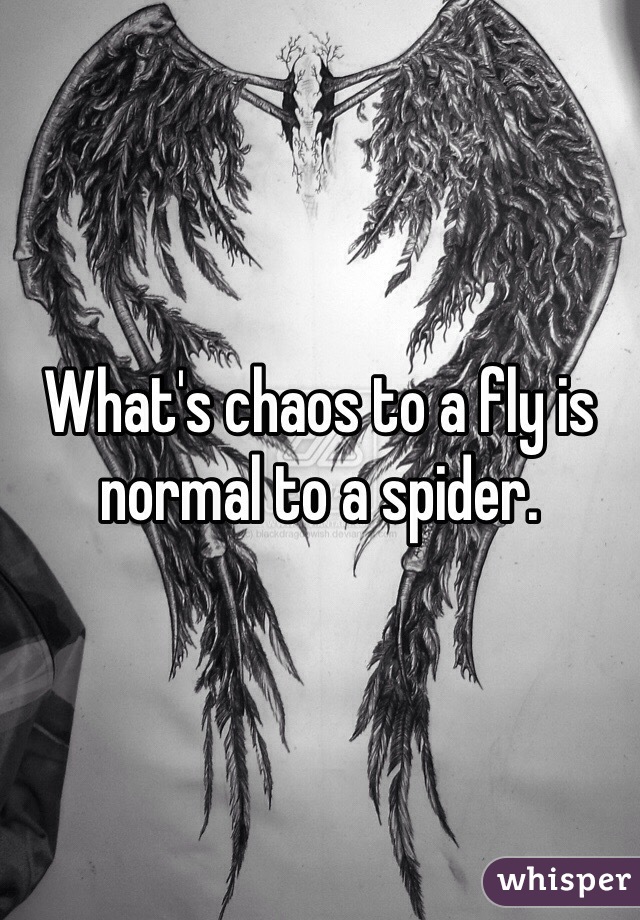 What's chaos to a fly is normal to a spider. 