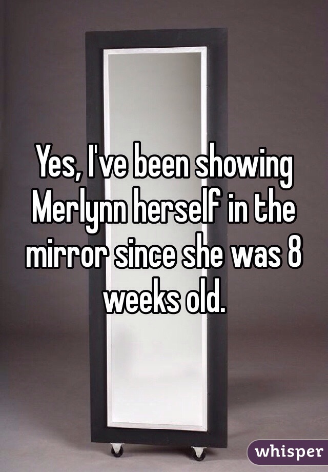 Yes, I've been showing Merlynn herself in the mirror since she was 8 weeks old.