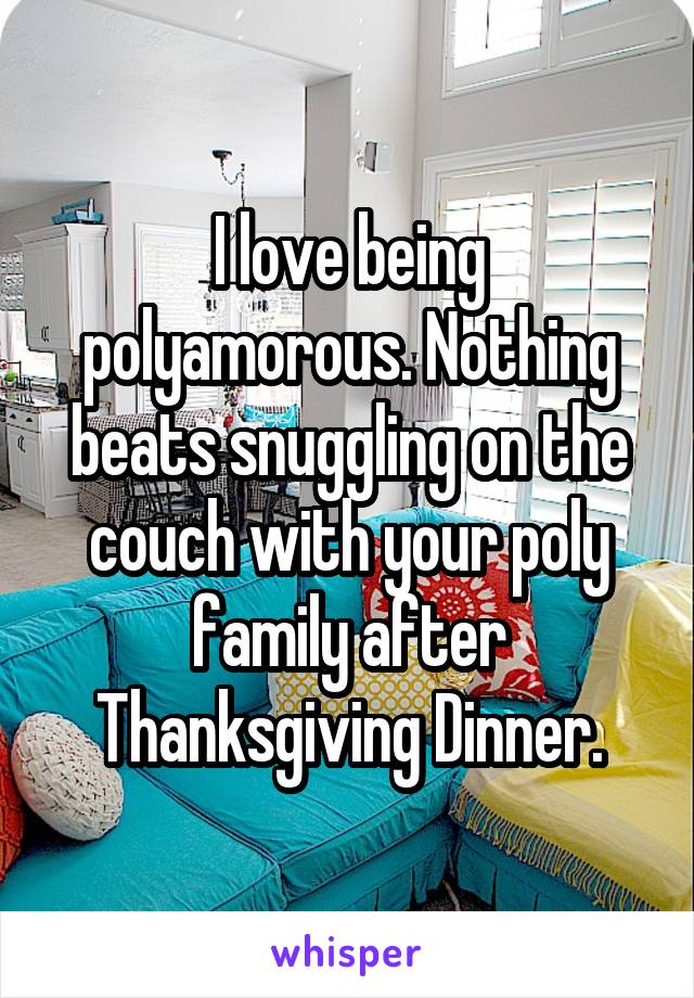 I love being polyamorous. Nothing beats snuggling on the couch with your poly family after Thanksgiving Dinner.