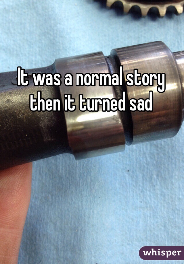 It was a normal story then it turned sad