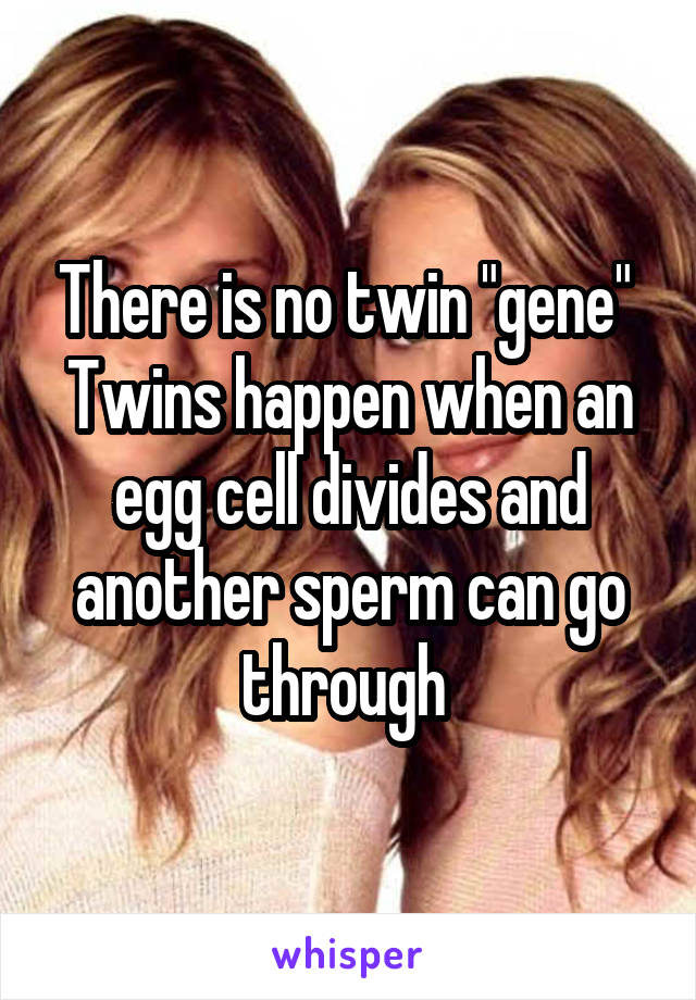 There is no twin "gene" 
Twins happen when an egg cell divides and another sperm can go through 