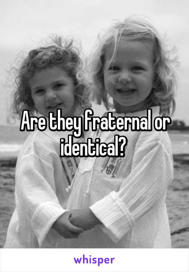 Are they fraternal or identical? 