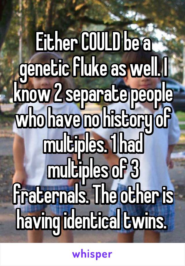 Either COULD be a genetic fluke as well. I know 2 separate people who have no history of multiples. 1 had multiples of 3 fraternals. The other is having identical twins. 