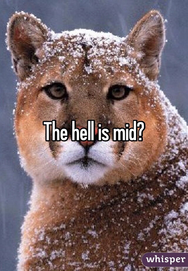 The hell is mid?