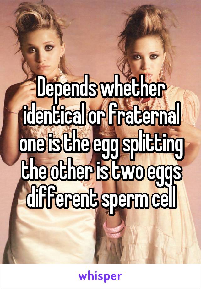 Depends whether identical or fraternal one is the egg splitting the other is two eggs different sperm cell