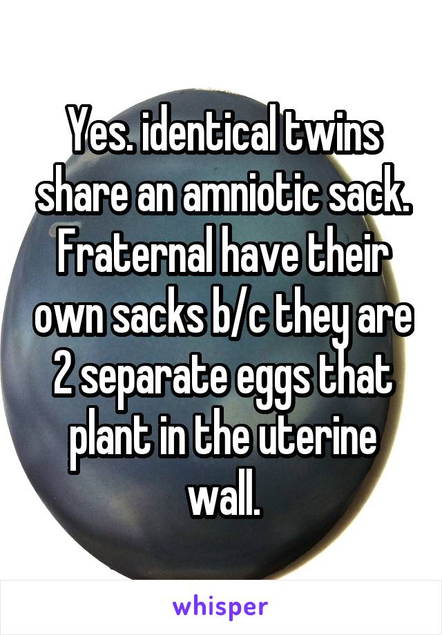 Yes. identical twins share an amniotic sack. Fraternal have their own sacks b/c they are 2 separate eggs that plant in the uterine wall.