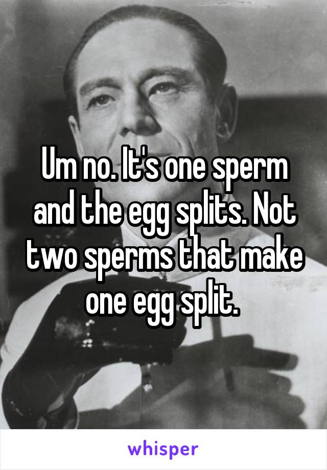 Um no. It's one sperm and the egg splits. Not two sperms that make one egg split. 