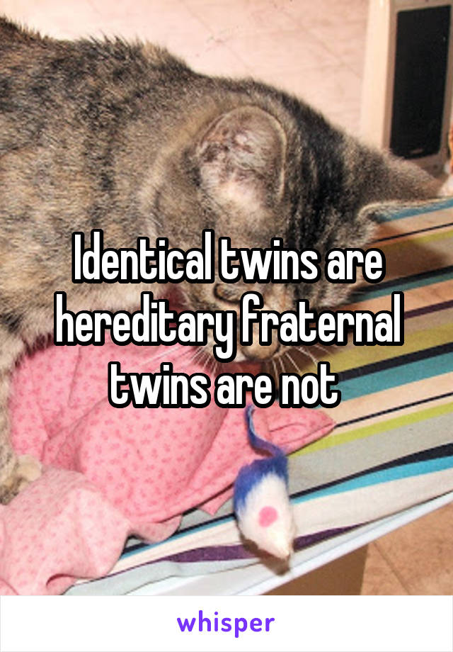 Identical twins are hereditary fraternal twins are not 