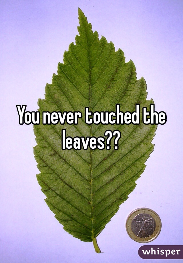 You never touched the leaves?? 