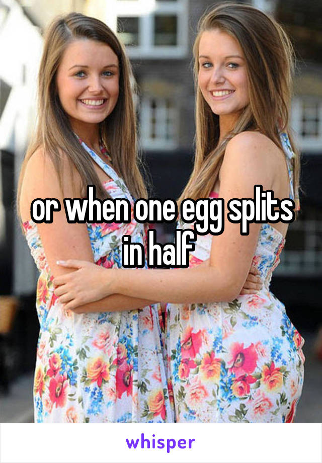 or when one egg splits in half 