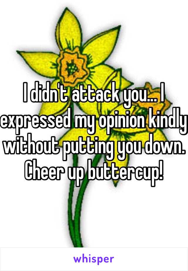 I didn't attack you... I expressed my opinion kindly without putting you down. Cheer up buttercup!