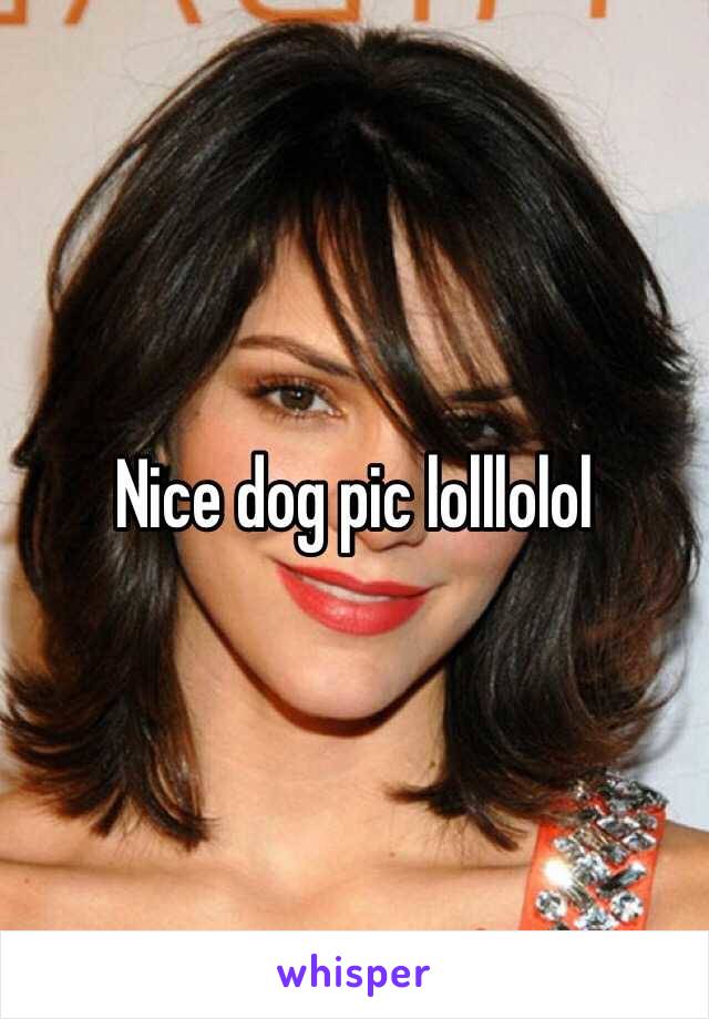 Nice dog pic lolllolol