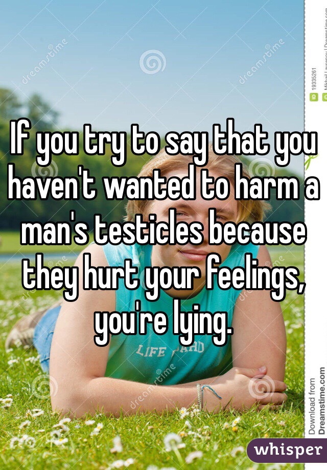 If you try to say that you haven't wanted to harm a man's testicles because they hurt your feelings, you're lying.