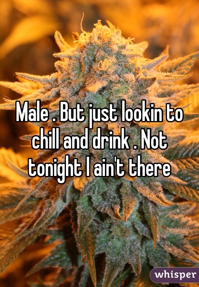 Male . But just lookin to chill and drink . Not tonight I ain't there