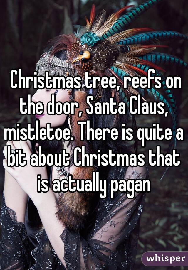  Christmas tree, reefs on the door, Santa Claus, mistletoe. There is quite a bit about Christmas that is actually pagan 