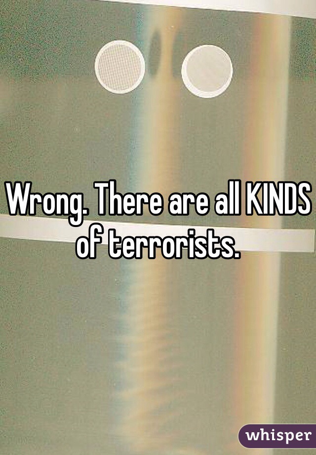 Wrong. There are all KINDS of terrorists. 