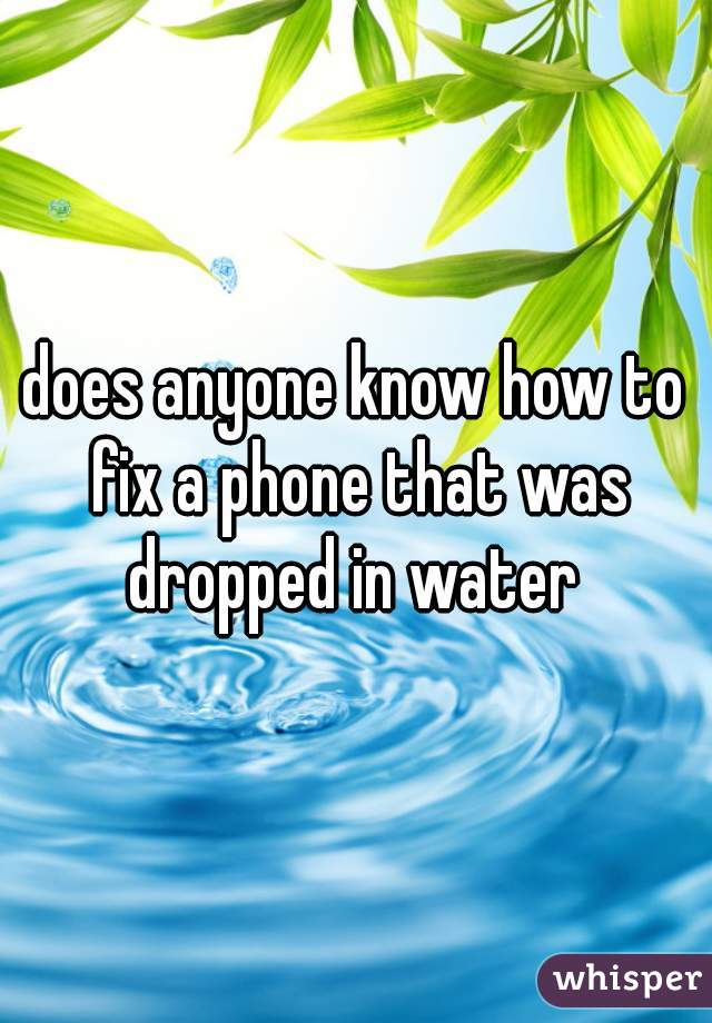 does anyone know how to fix a phone that was dropped in water 