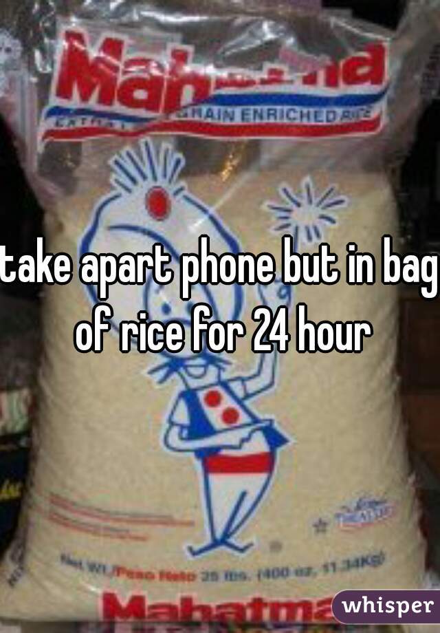 take apart phone but in bag of rice for 24 hour
