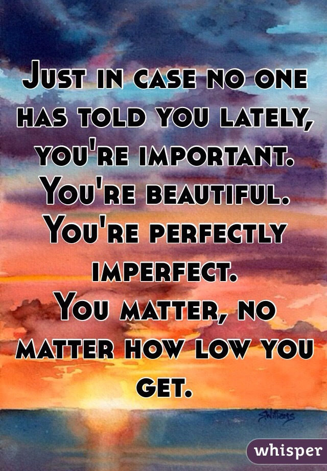 Just in case no one has told you lately, you're important.
You're beautiful. You're perfectly imperfect. 
You matter, no matter how low you get.